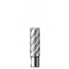 HSS hole cutter 17x55mm FE 5517